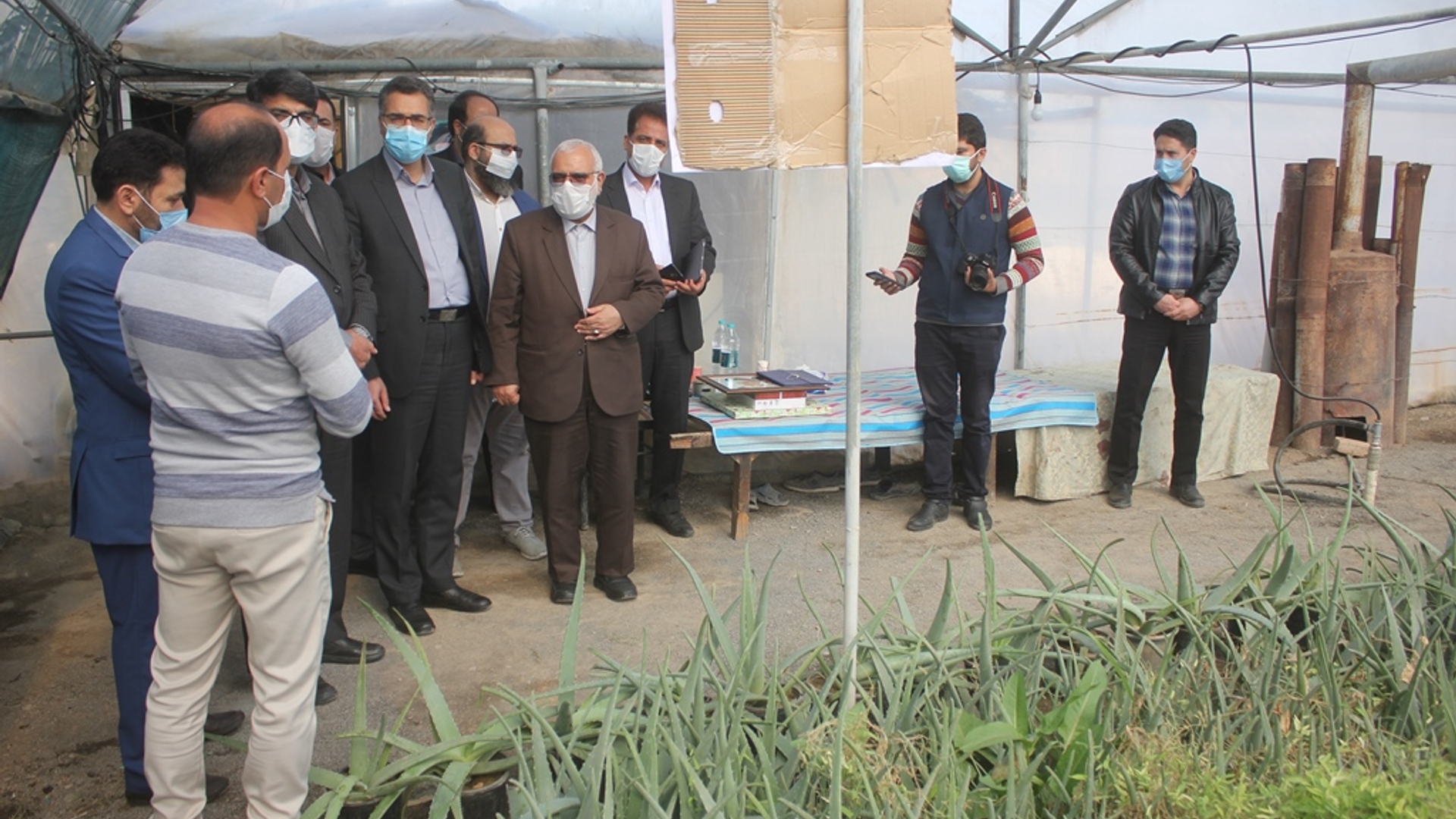 رئیس کمیته امداد امام خمینی(ره) کشور از یک واحد گلخانه در شهرستان خمین بازدید کرد