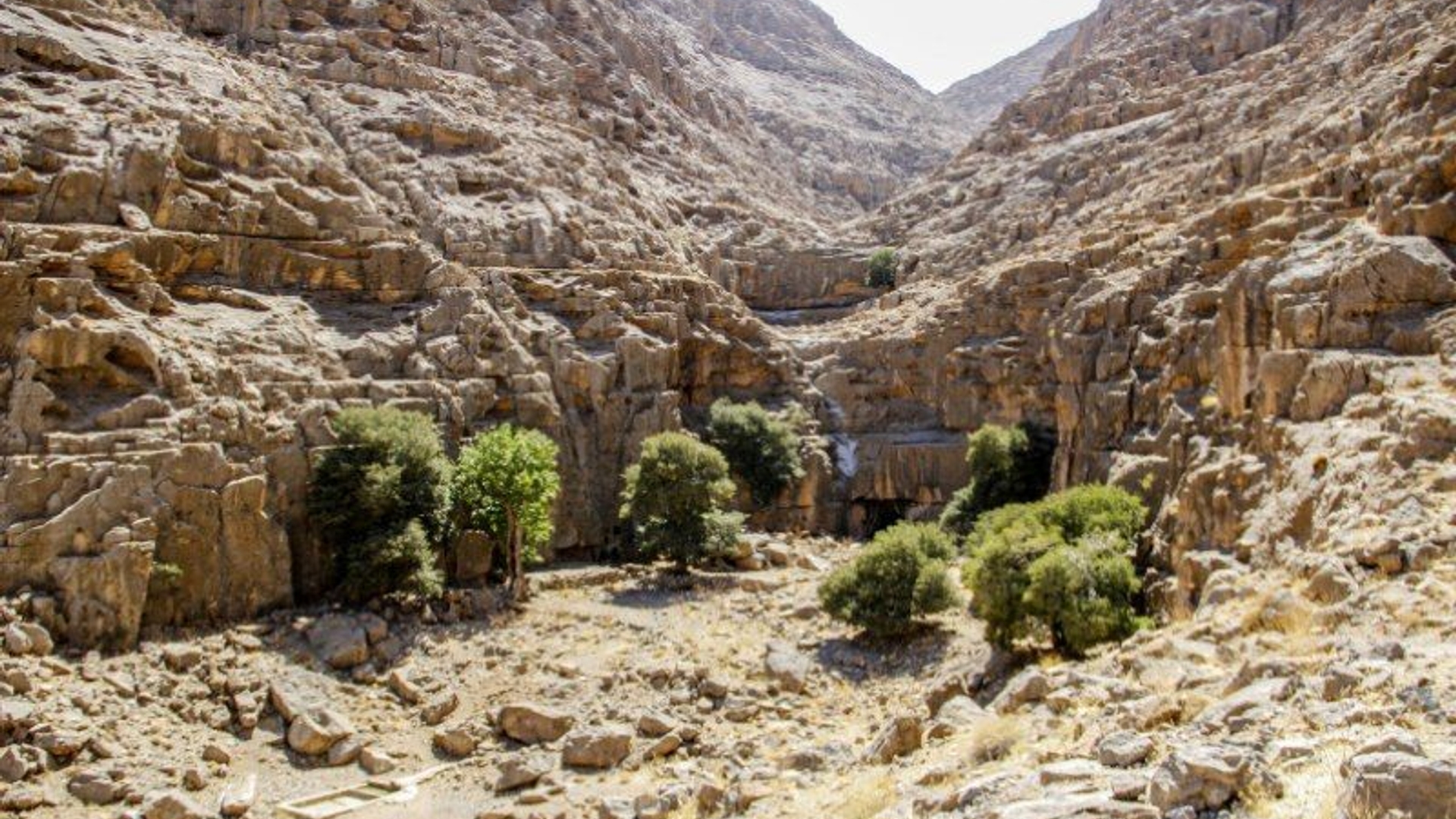 هفتاد قله اراک، سومین خاستگاه تنوع زیستی کشور