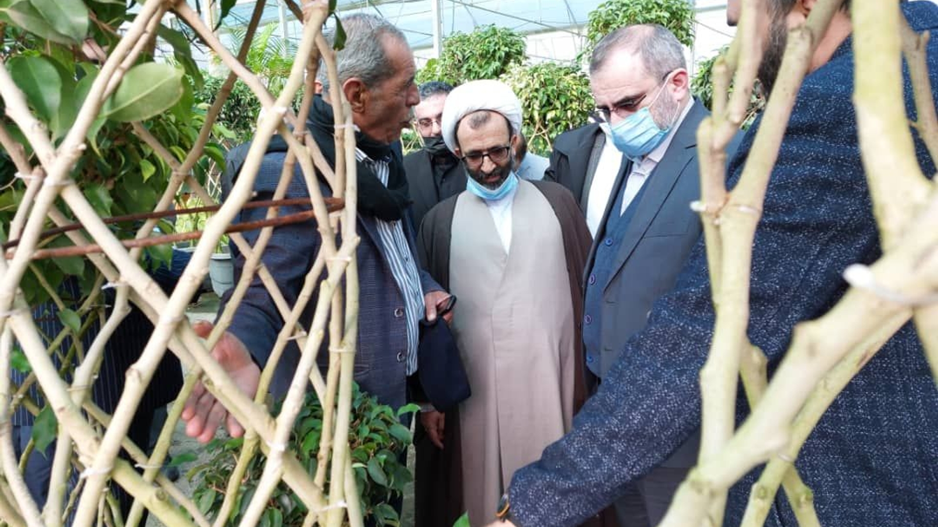 بازدید دکتر مخلص الائمه استاندار مرکزی از گلخانه مجتبی کرمعلی
