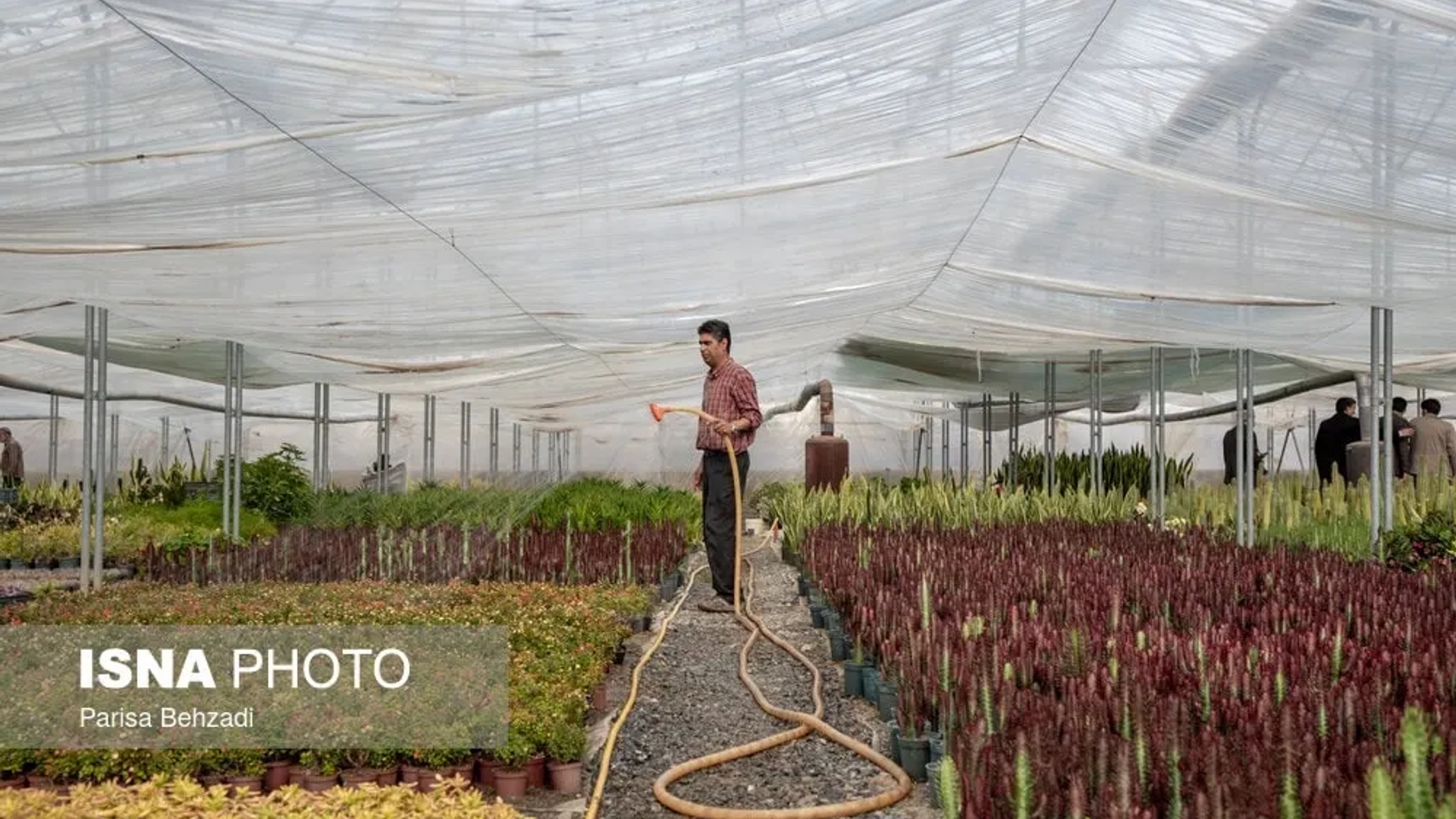 گزارش تصویری گشت مشترک