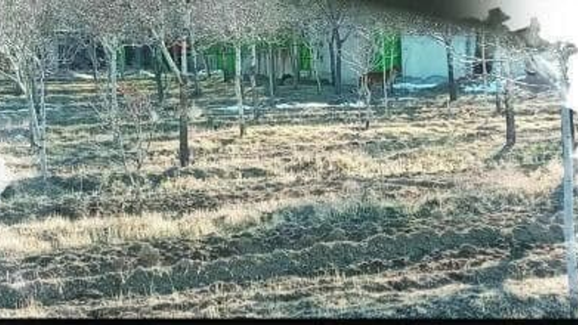 مصاحبه فرماندار شهرستان اراک با ایرنا