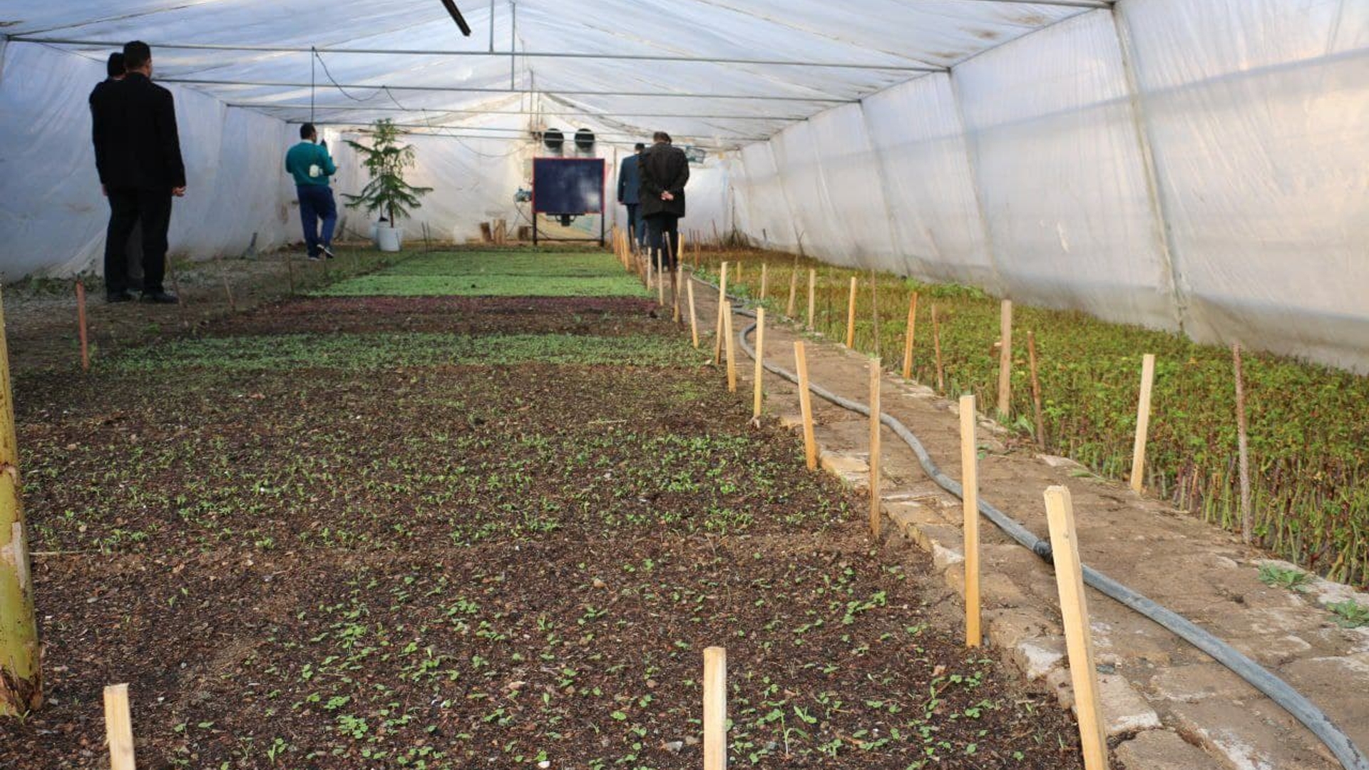 بازدید از مرکز پرورش گل و گیاه شهرداری تفرش