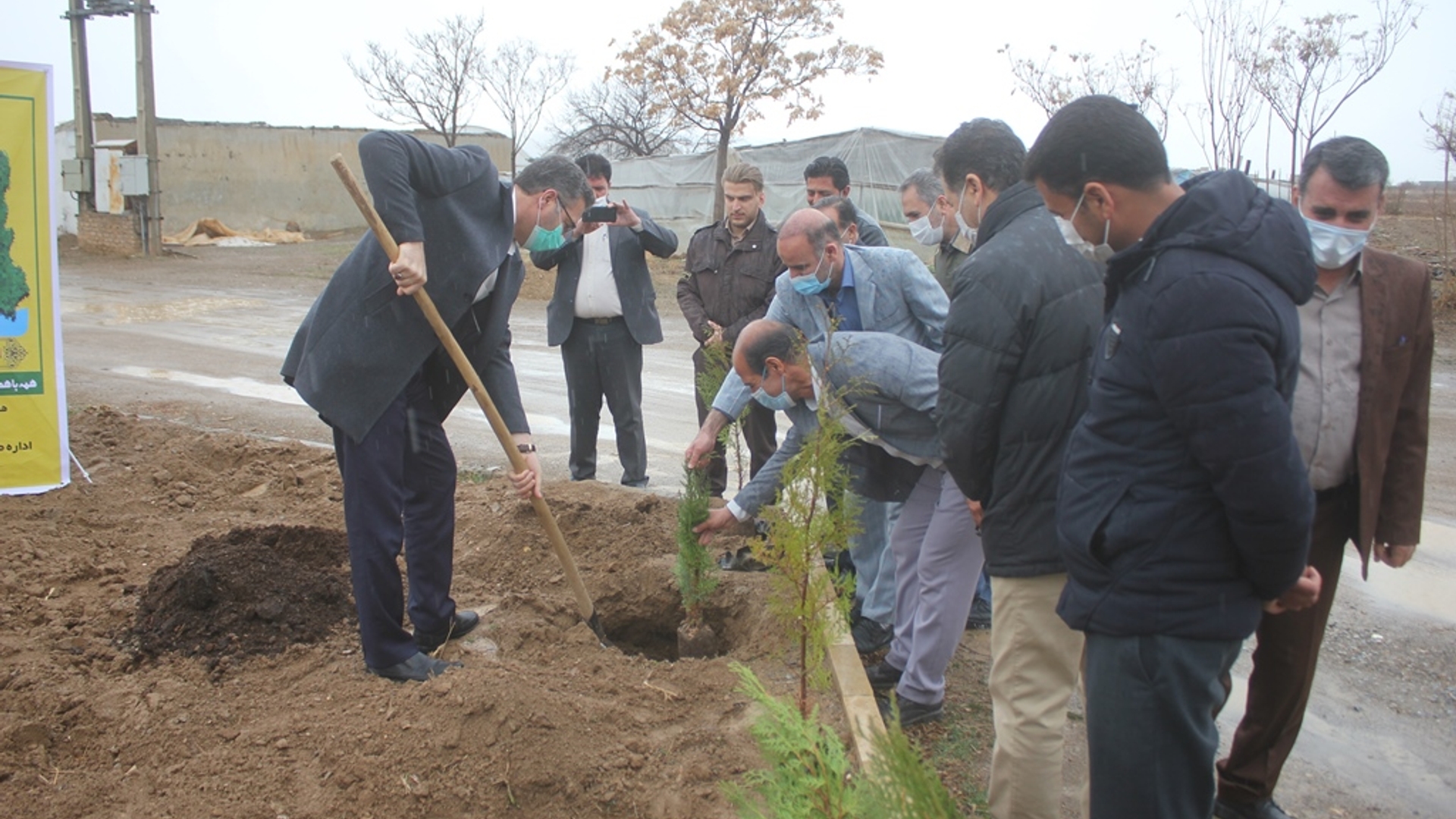 تعداد 70 اصله نهال در هنرستان شهید باهنر شهابیه غرس شد