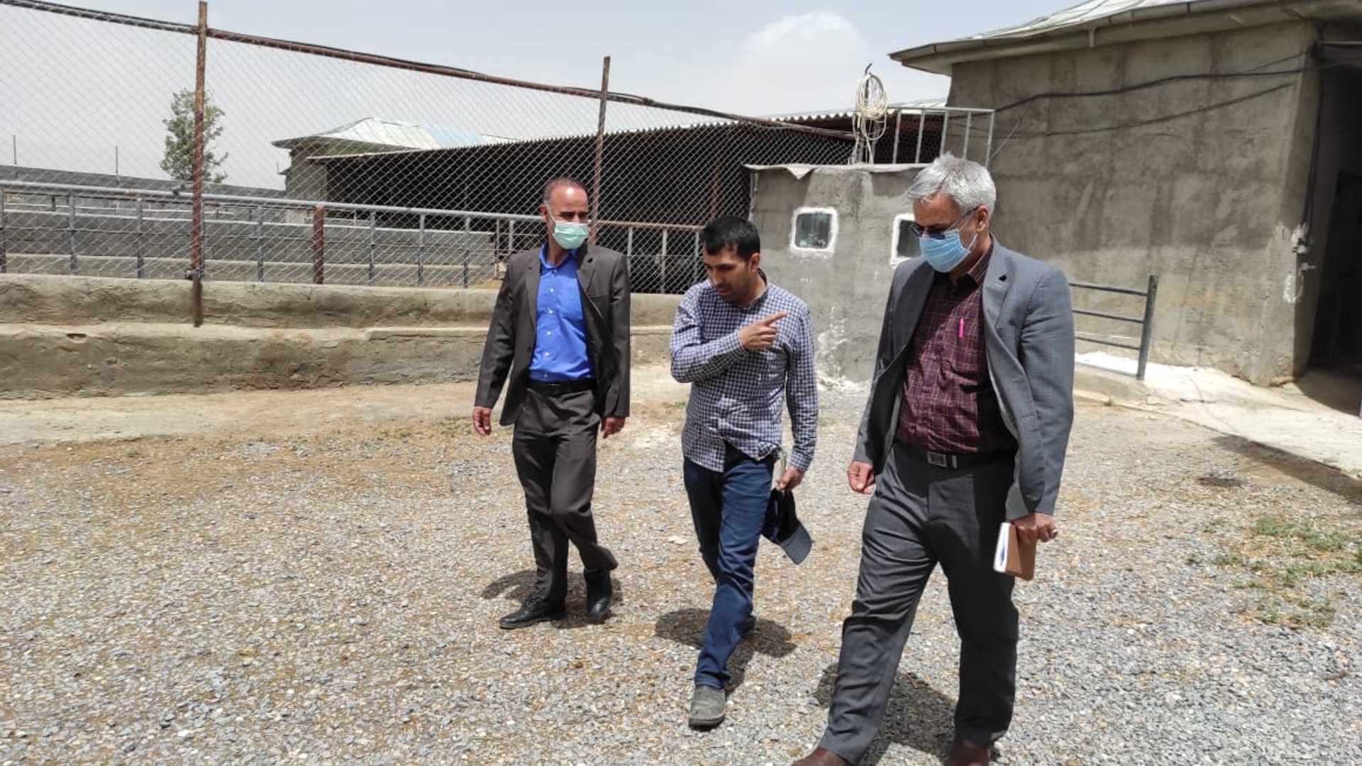سرپرست فرمانداری از یک واحد پرورش دام در شهرستان خمین بازدید کرد