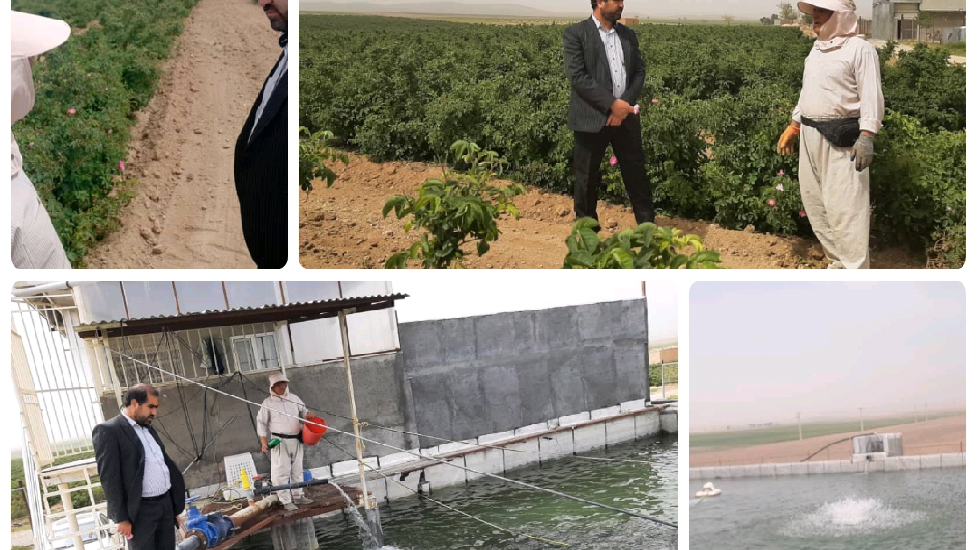 بازدید فرماندار شهرستان فراهان از مزارع گل محمدی  و استخر پرورش ماهی  در روستای ضیاءآباد پخش خنجین انجام گرديد