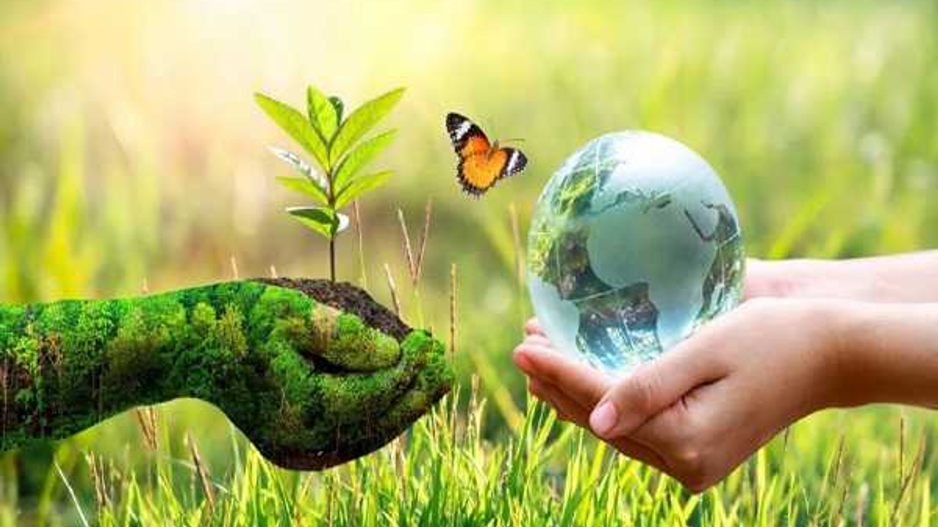 پیام تبریک فرماندار شهرستان فراهان به مناسبت هفته محیط زیست