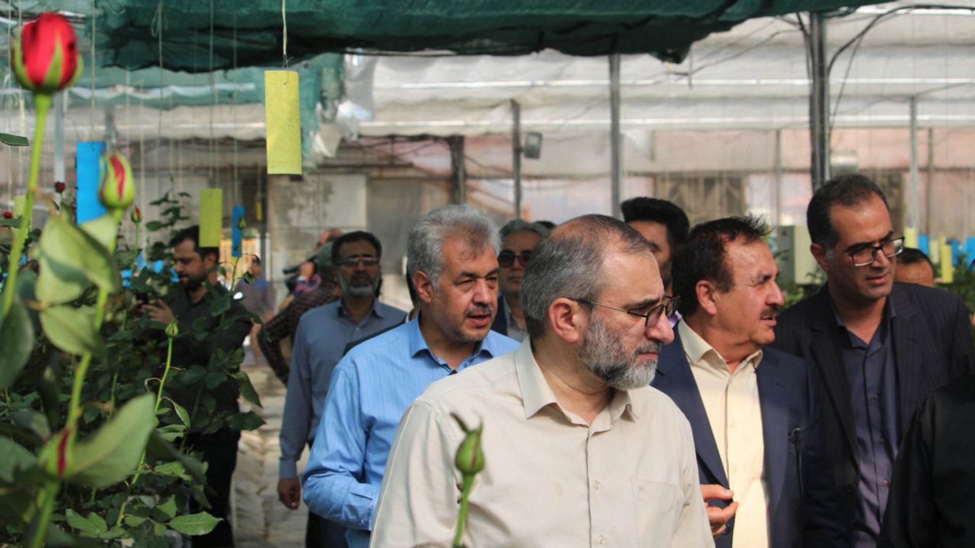 بازدید استاندار مرکزی به همراه معاون هماهنگی امور اقتصادی استاندار، سرپرست دفتر هماهنگی امور اقتصادی، سرپرست فرمانداری ساوه و جمعی از مدیران از شهرک گلخانه‌ای شهر آوه