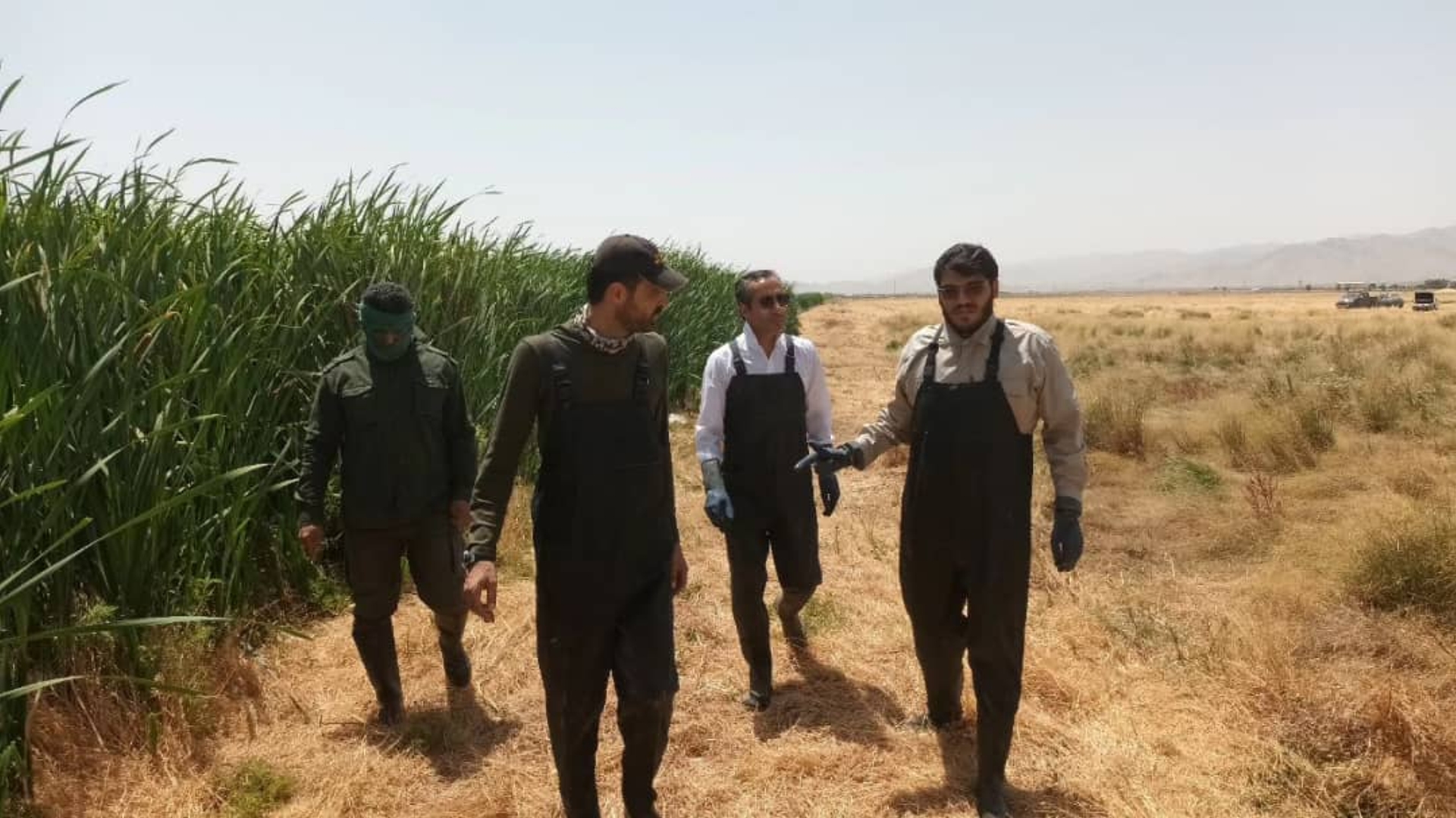 لایروبی و احداث کانال تالاب میقان اراک