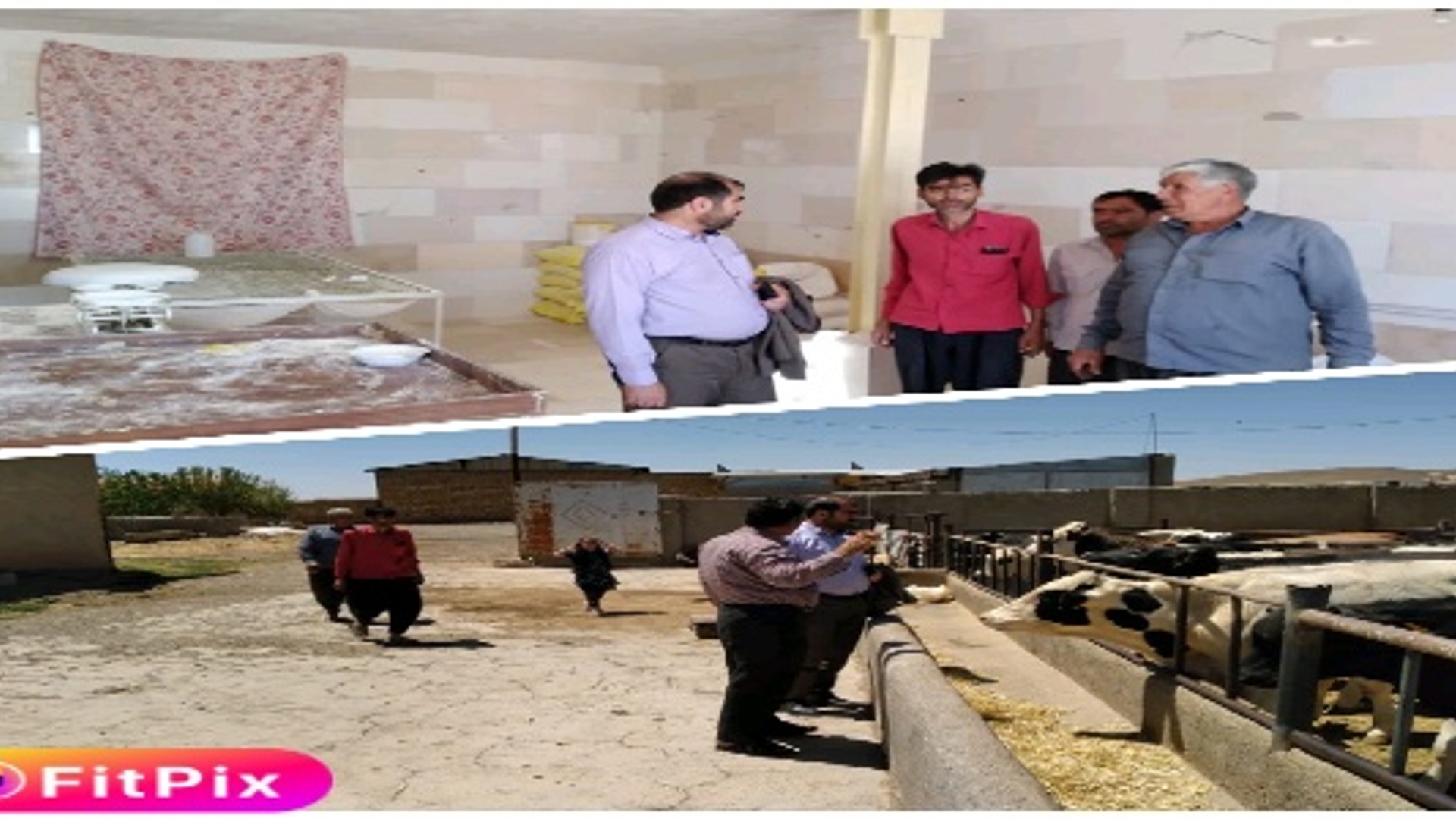 حضور آقا زیارتی فرماندار شهرستان در روستای عباس آباد و بازدید از واحد صنفی نانوایی روستا و واحد های گاو داری در این روستا