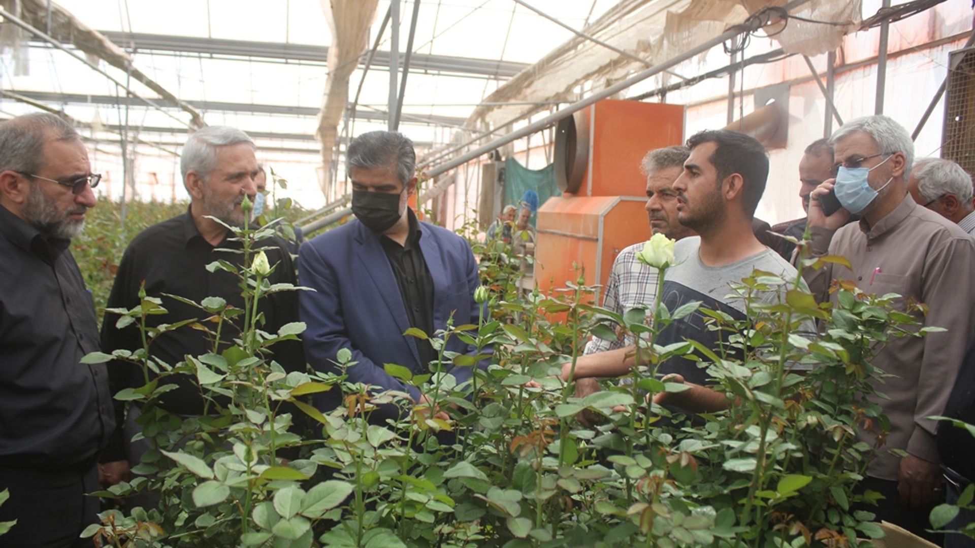 استاندار مرکزی از شهرک گل و گیاه خمین بازدید کرد