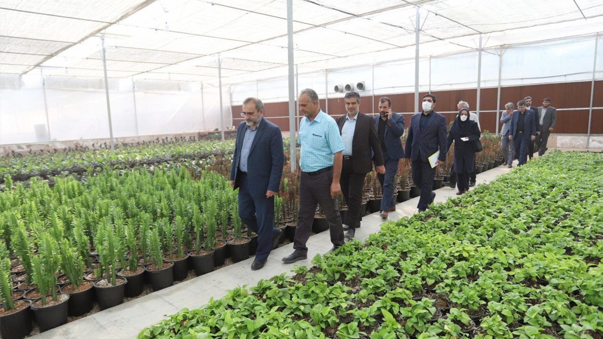 همزمان با هفته دولت، گلخانه در ارقده شهرستان محلات به بهره‌ برداری رسید