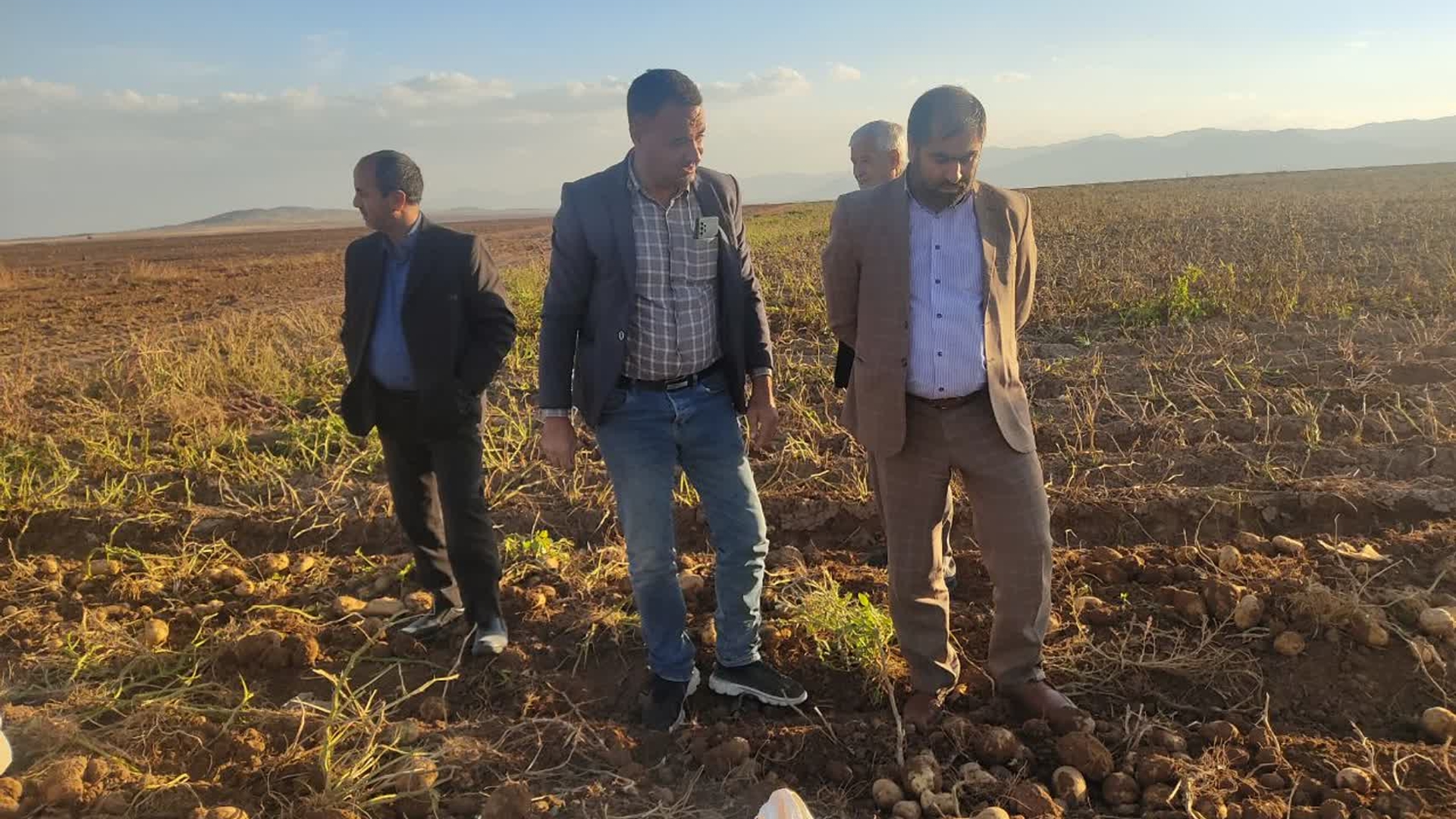 💢بازدید از برداشت سیب زمینی در روستای کودزر شهرستان فراهان