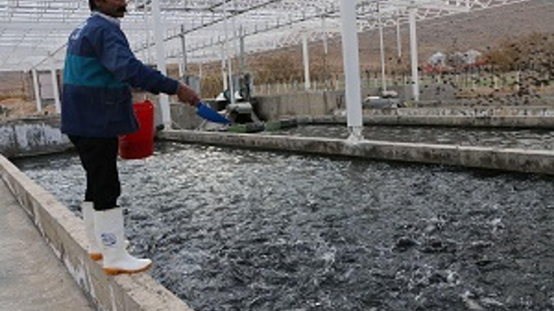 حضور معاون وزیر جهاد کشاورزی و رئیس سازمان شیلات ایران در شهرستان شازند