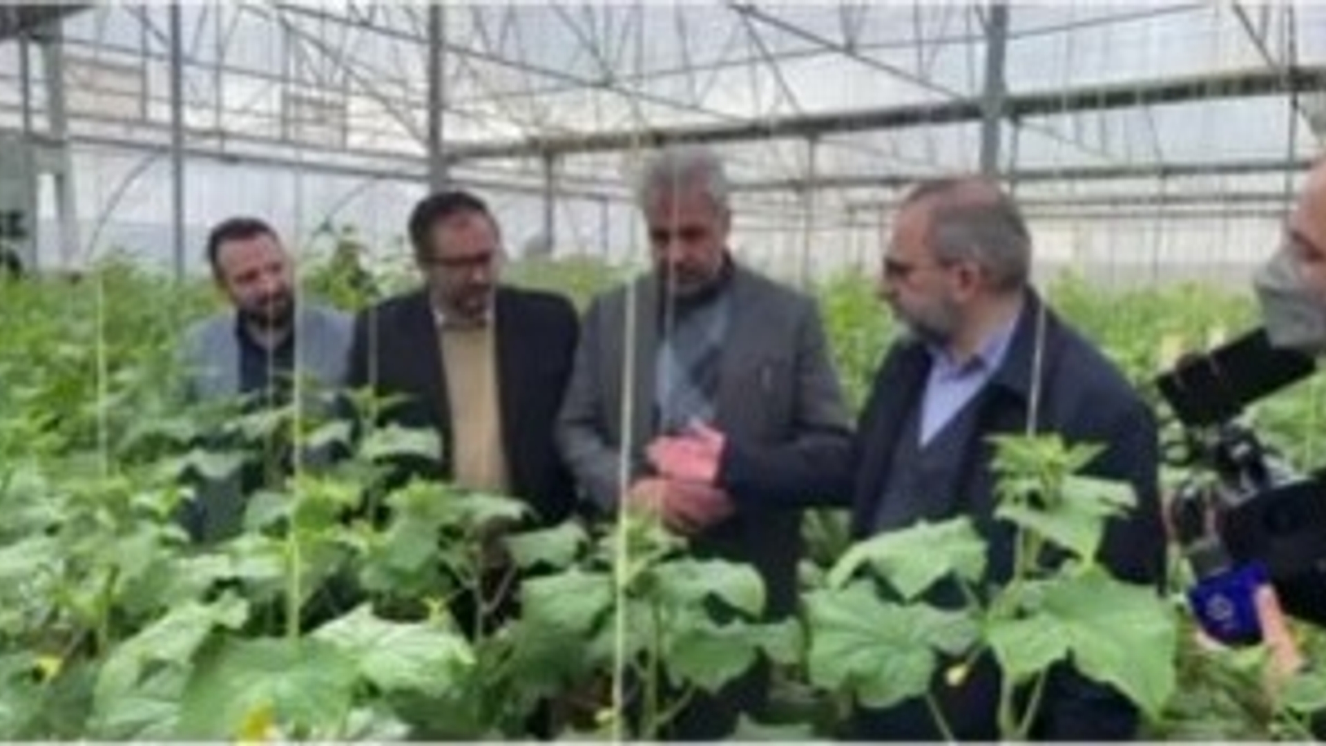 افتتاح واحد گلخانه در روستای فتح آباد