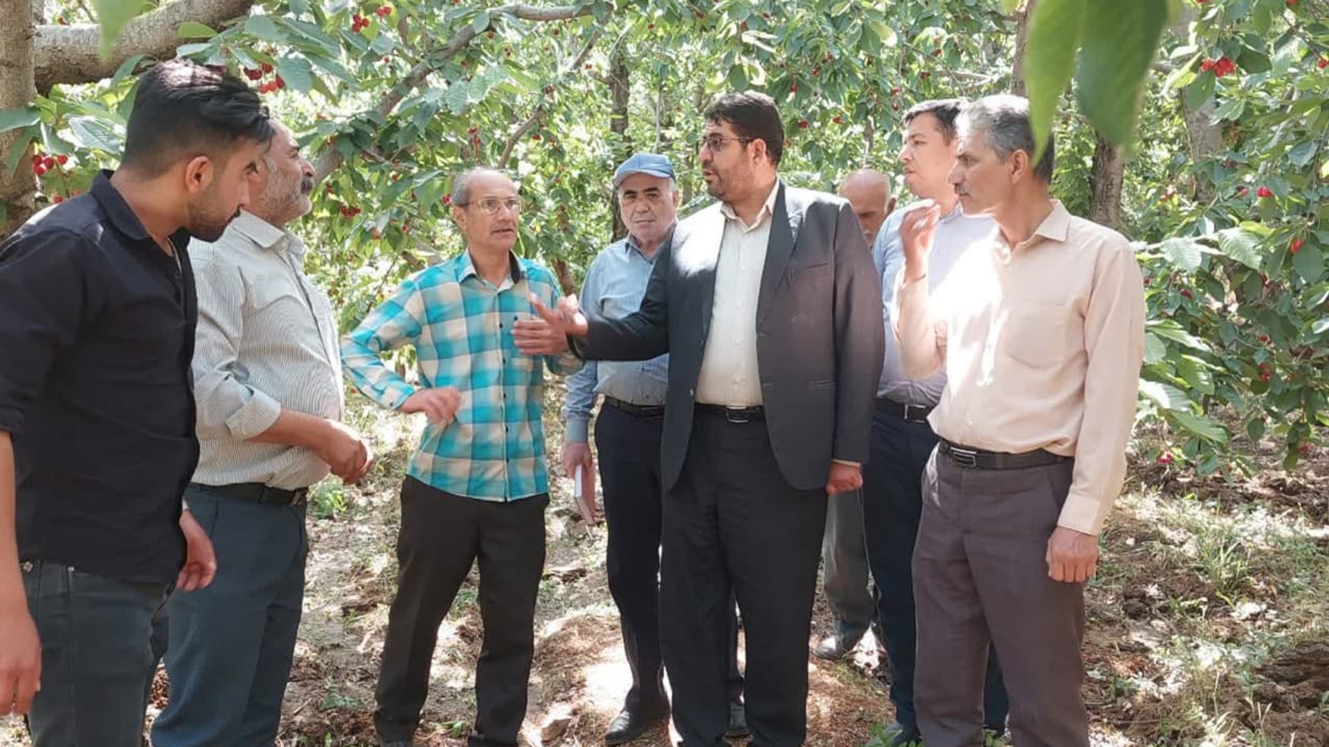 عصر امروز رضایی فرماندار، مویدی معاون فرماندار، درودیان بخشدار مرکزی  به اتفاق مدیر و کارشناسان جهاد کشاورزی از مزارع کشاورزی مرگه بالا و مرگه پایین بازدید نمودند.