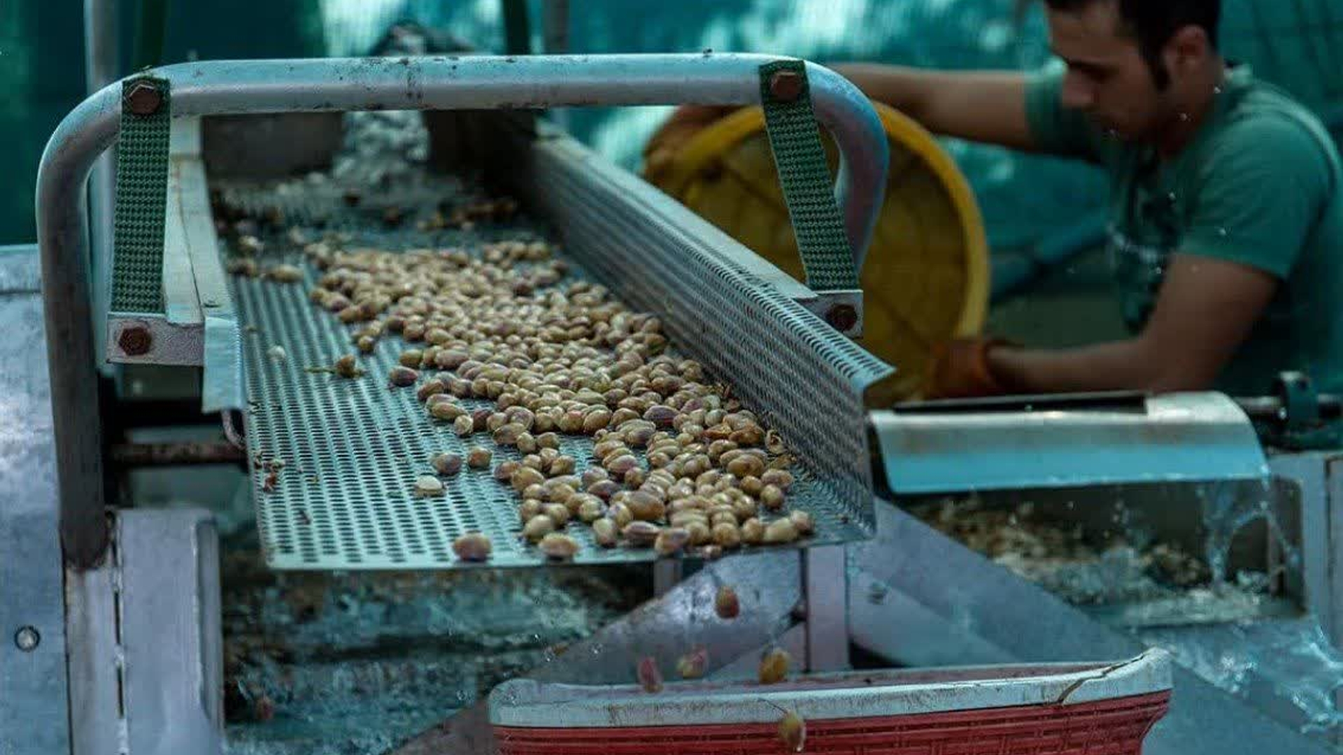 مطالبه پسته‌کاران زرندیه از استاندار مرکزی، محقق شد- دستور استاندار برای تأمین برق باغات مجهز به ترمینال‌ فرآوری پسته