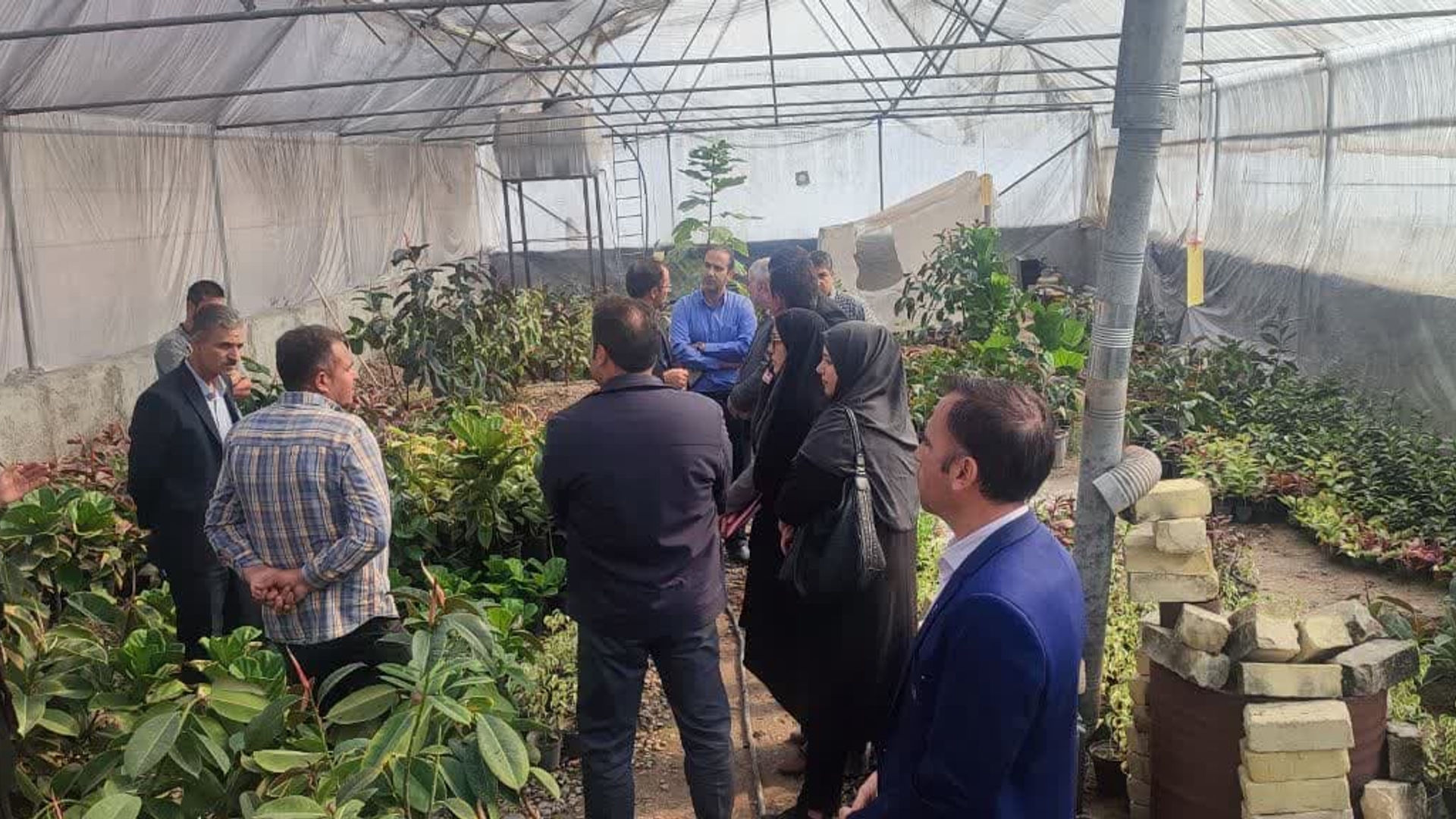 بازدید اتابکی سرپرست فرمانداری شهرستان از واحد‌های گلخانه‌ای روستای کبوران