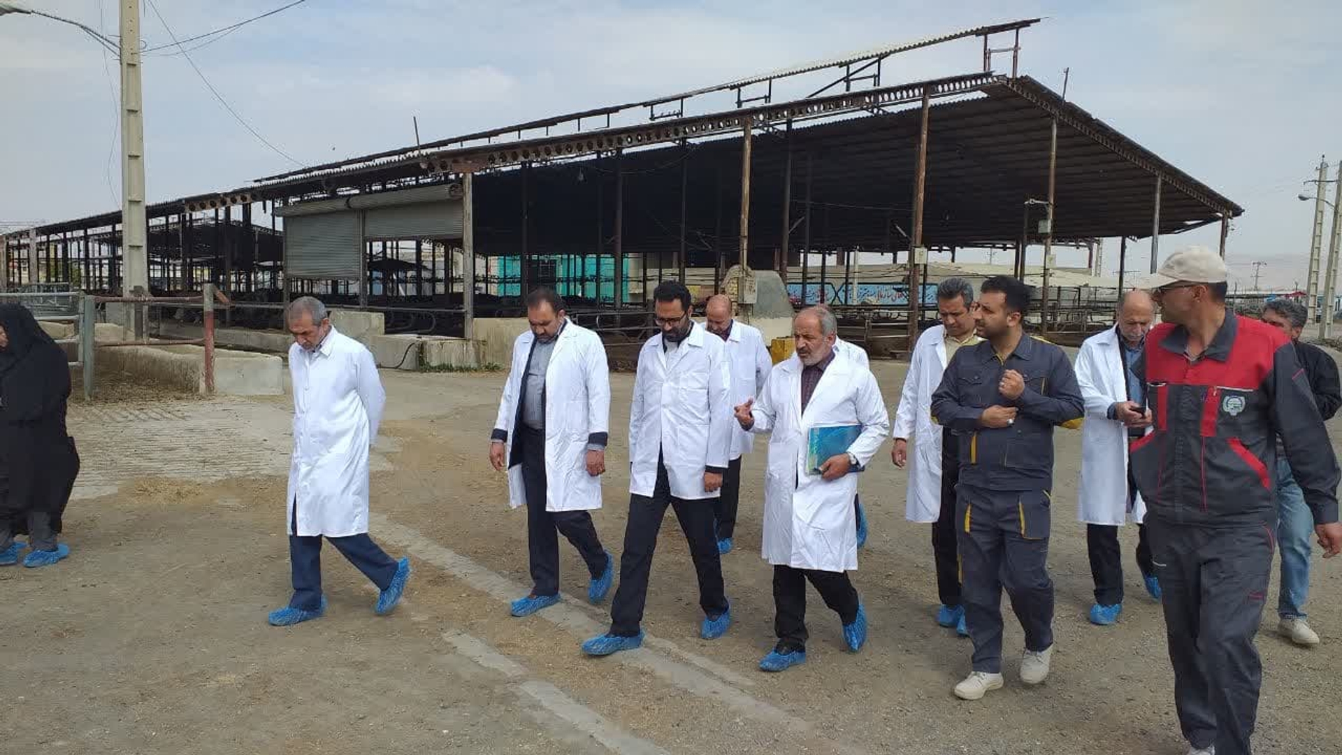 بازدید میدانی از شرکت زرین خوشه.