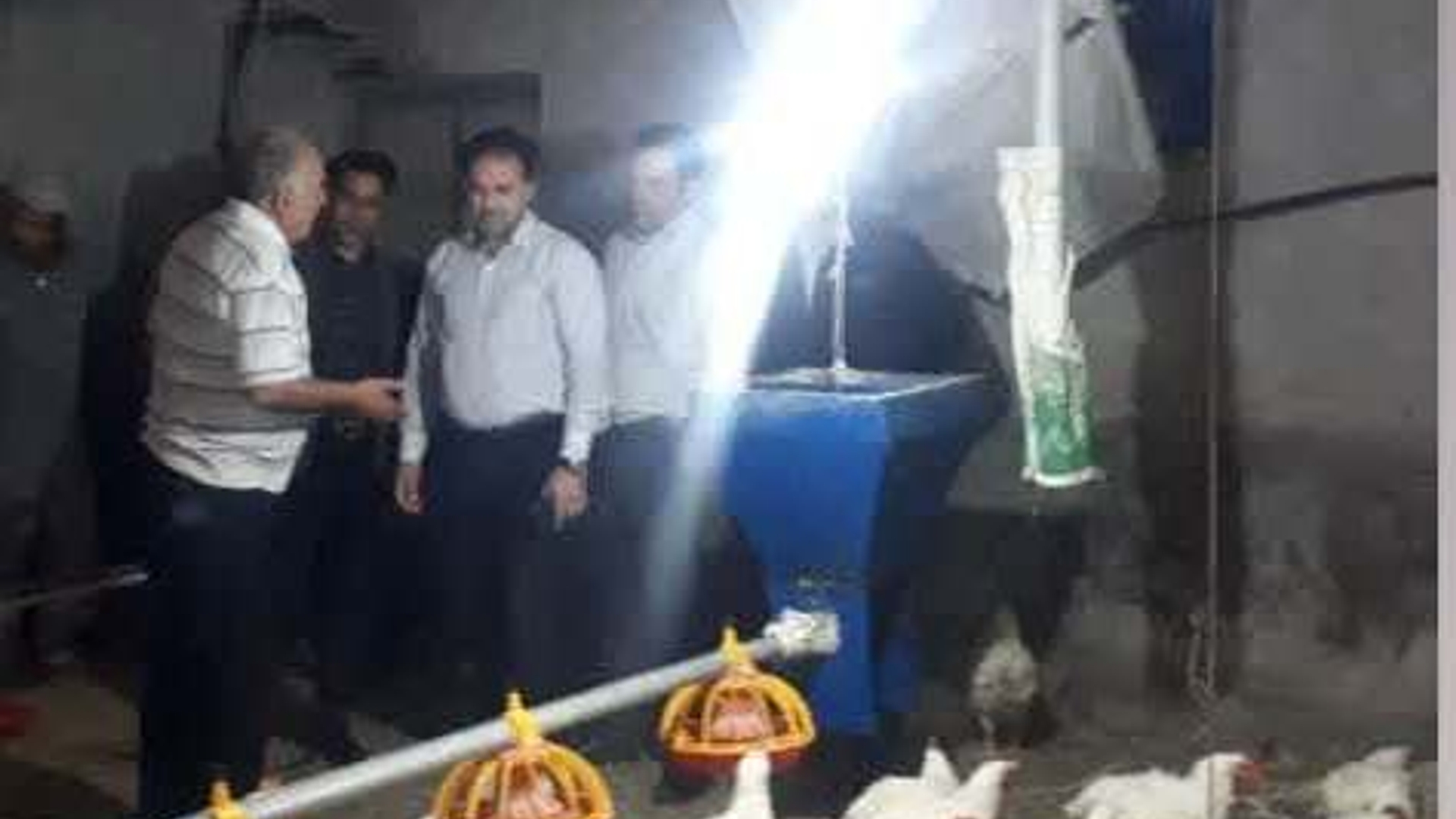 بازدید از یک واحد مرغداری