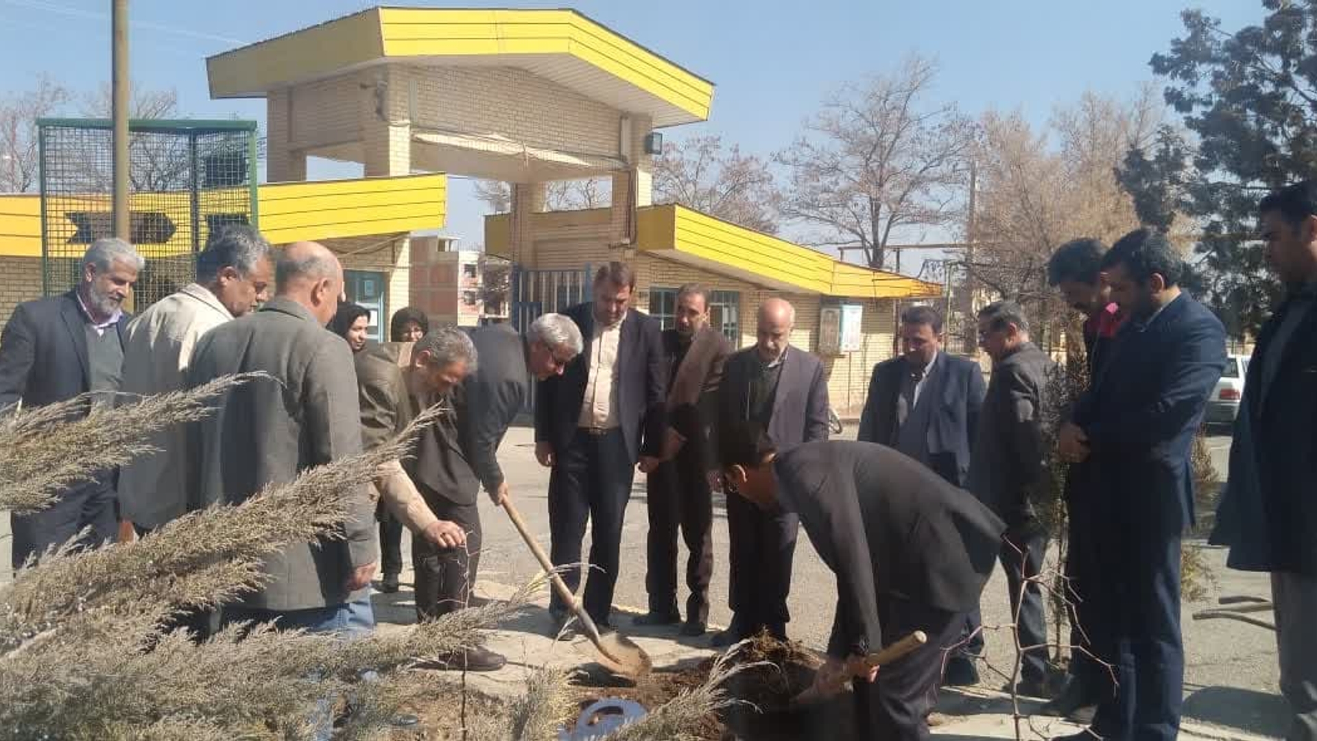 تعداد 50 اصله نهال در مرکز فنی و حرفه ای خمین غرس شد