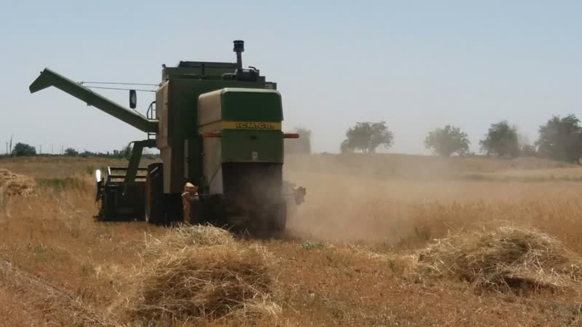 بازدید از کمباین ها و روند برداشت غلات