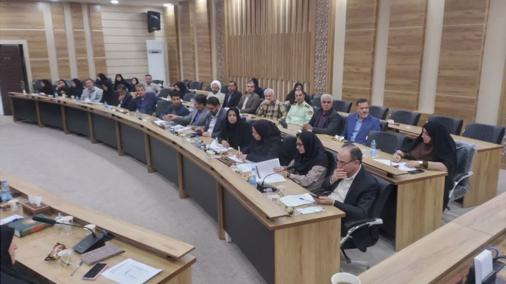 برگزاری کارگروه ویژه پیشگیری از سقط جنین