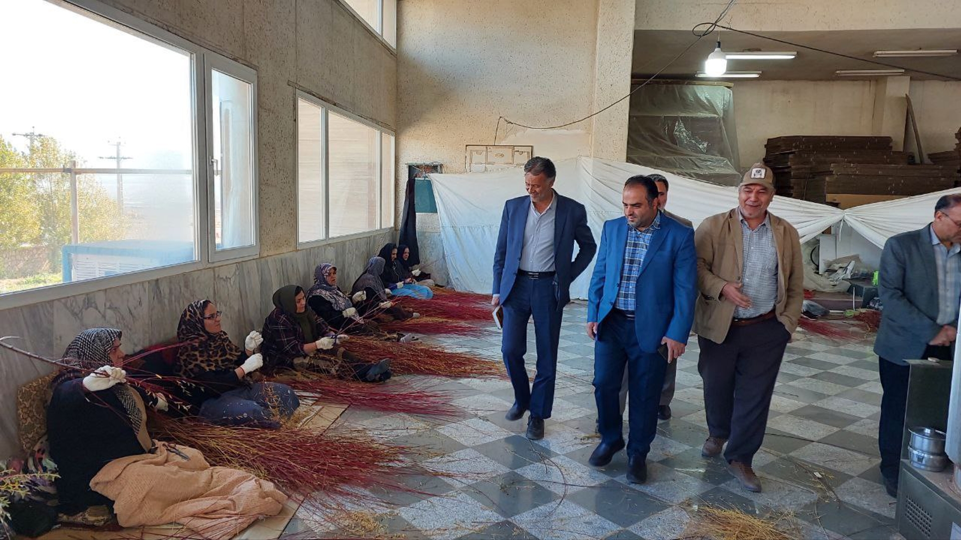 بازدید از پایانه صادراتی بید قرمز