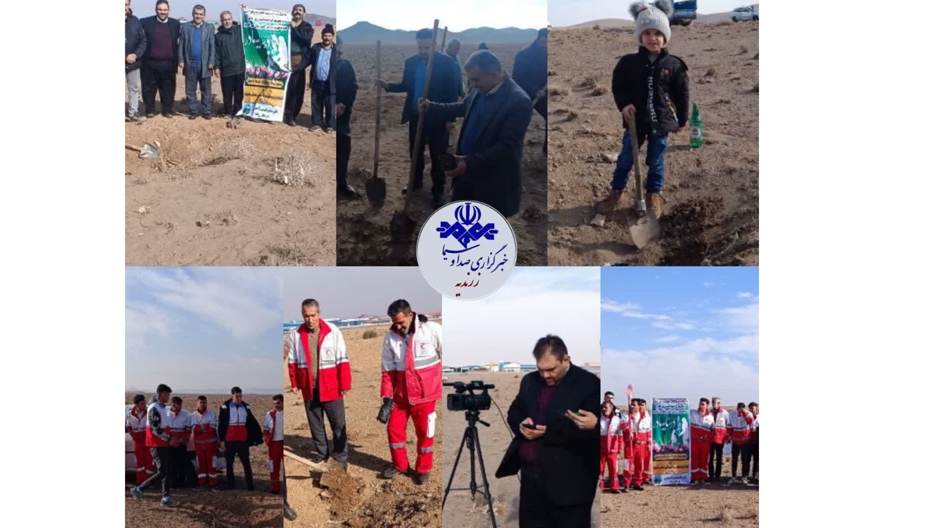 کاشت سه هزار اصله نهال در پویش سایه مادری