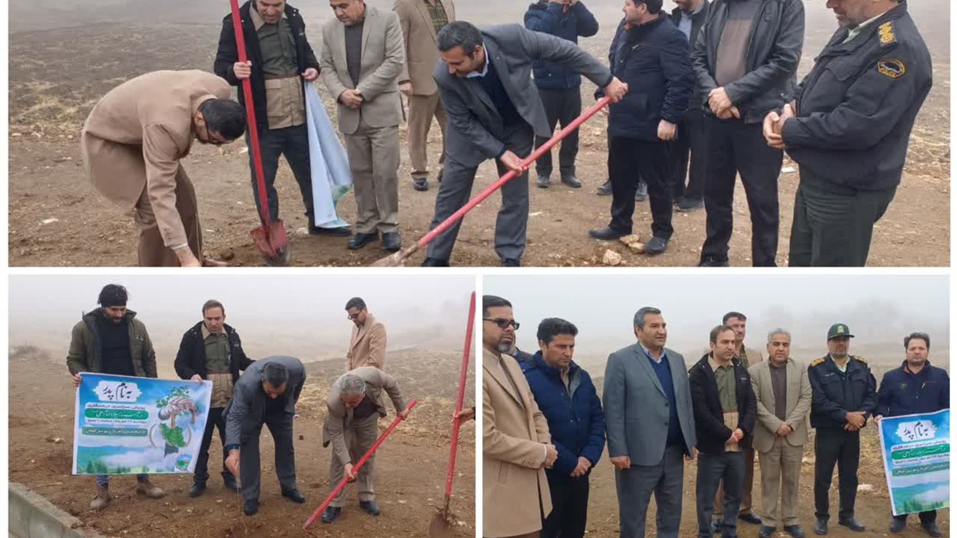 پویش سراسری درختکاری