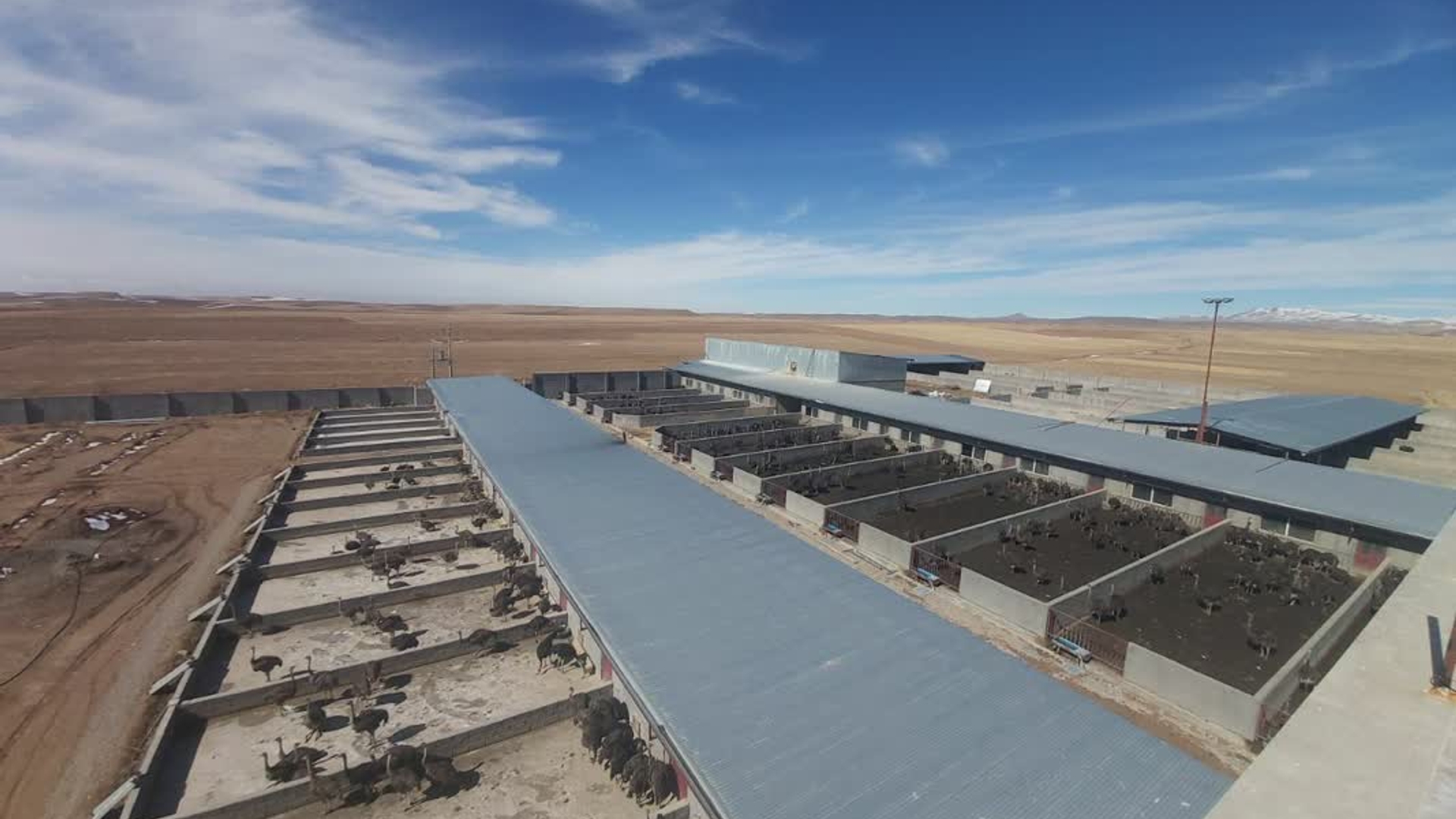 بازدید دکتر زندیه وکیلی استاندار مرکزی به همراه معاونین اقتصادی و عمرانی استانداری،مهندس ملکاء آشتیانی سرپرست فرمانداری،دکتر بیاتی نماینده مردم منطقه به اتفاق مدیران کل استانی و اعضای شورای تامین از واحد تولید و پرورش شترمرغ با ظرفیت ۱۵۰۰ قطعه "آقای خداوردی"  در روستای نادرآباد و پیگیری مسائل و ‌مشکلات زیرساختی موجود شامل رفع کمبود آب،پروانه بهره برداری،اجرای شبکه گازرسانی و ...