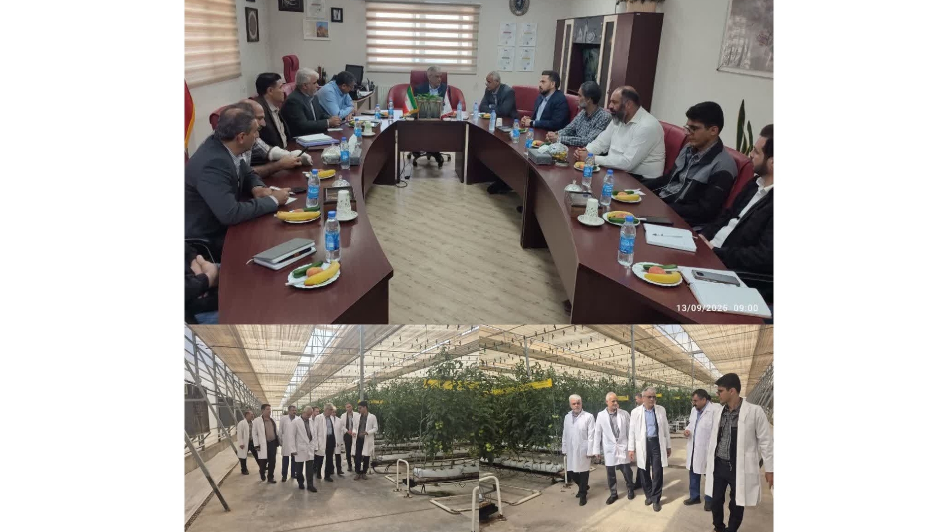 فرماندار شهرستان زرندیه از گلخانه‌های هیدروپونیک شرکت زرین کشت پایدار بازدید کرد