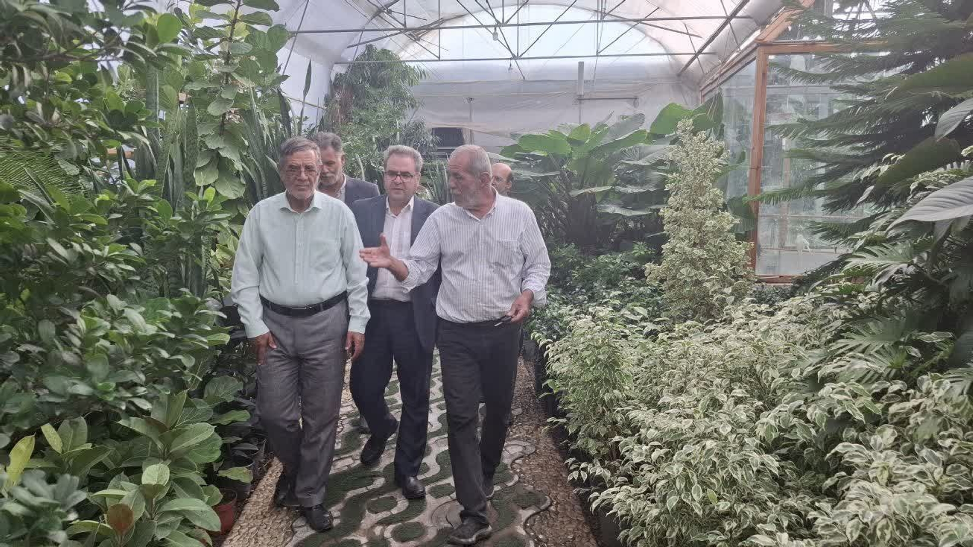 بررسی میدانی تعدادی از گلخانه‌های محلات