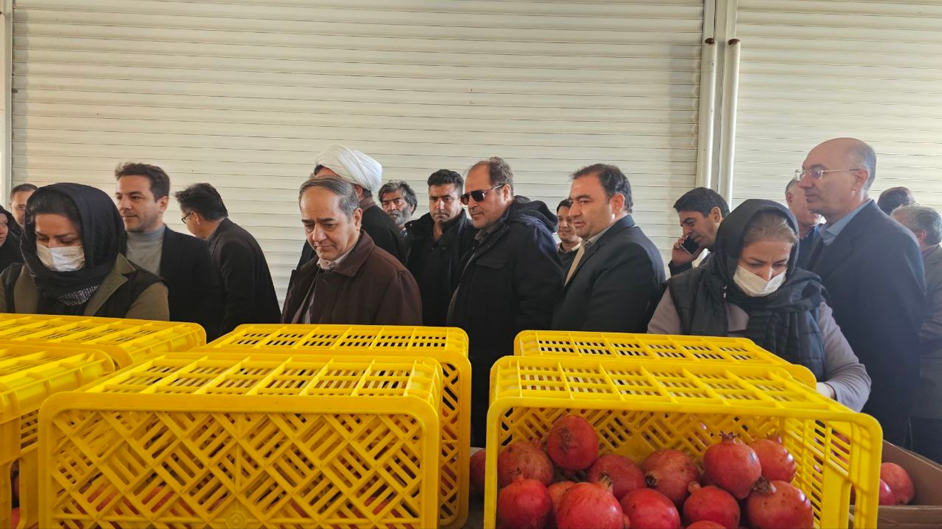 بازدید معاون وزیر جهاد کشاورزی از سردخانه اترس ساوه