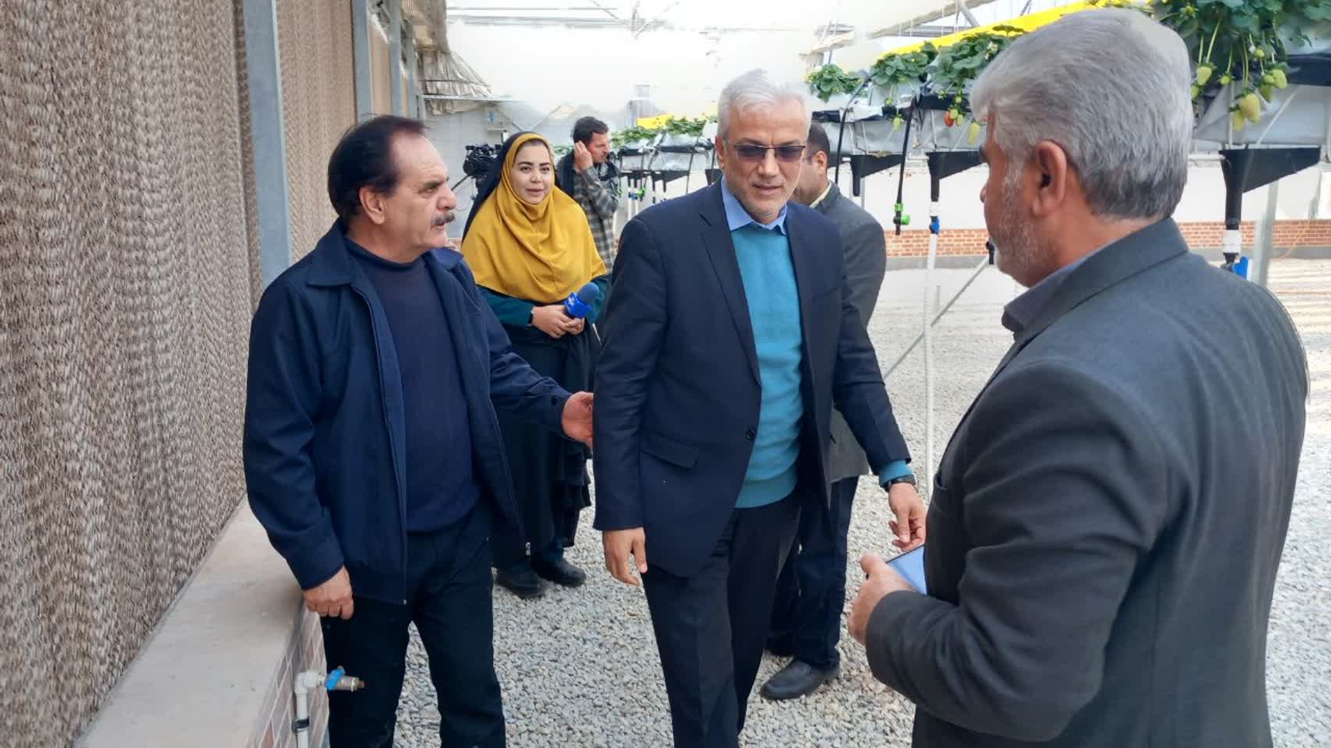 بازدید فرماندار و مسئولین جهادکشاورزی از گلخانه‌های شهرستان زرندیه