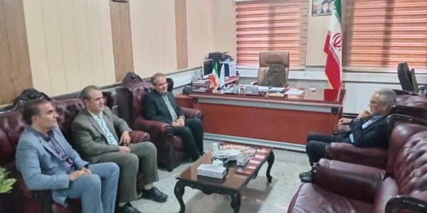 توسعه روستاها محور دیدار مدیرکل دفتر روستایی با مسئولان زرندیه