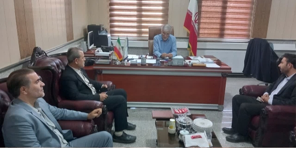 سرپرست فرمانداری زرندیه با بخشداران بخش‌های تابعه نشست تخصصی برگزار کرد