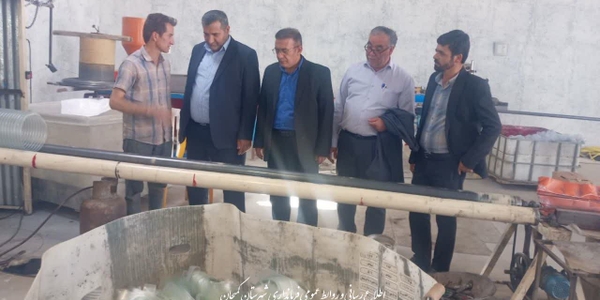 🔸کارگاه کوچک روستایی به واحد تولیدی فعال با ۸ اشتغال تبدیل شد