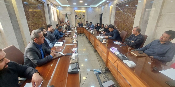 برگزاری جلسه کارگروه فرهنگی اجتماعی سلامت زنان و خانواده شهرستان محلات