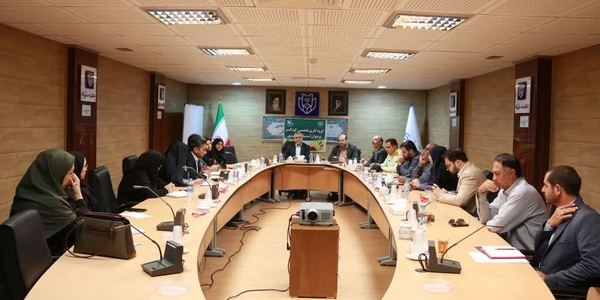 برگزاری دومین جلسه گروه کاری تخصصی کودک و نوجوان  استان