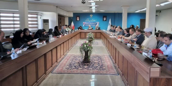 برگزاری جلسه کارگروه اجتماعی، فرهنگی، سلامت، زنان و خانواده استان