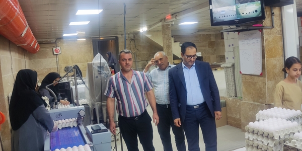 💢 بازدید فرماندار شهرستان خنداب از واحد مرغ تخمگذار