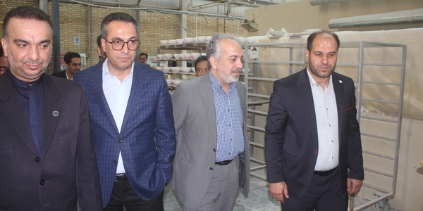 رایزنان اقتصادی وزارت امور خارجه از شرکت ویستا اعتماد ایرانیان خمین بازدید کردند