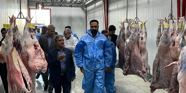 بازدید پزشگ‌نیا مدیرکل پدافند غیرعامل استان  از کشتارگاه دام اراک