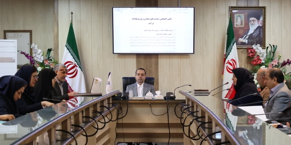 تدوین سند برنامه هفتم استان با محوریت عدالت و تامین اجتماعی.