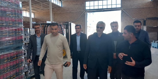 بررسی مشکلات تولیدکنندگان زرندیه در بازدید فرماندار از شهرک صنعتی زاویه
