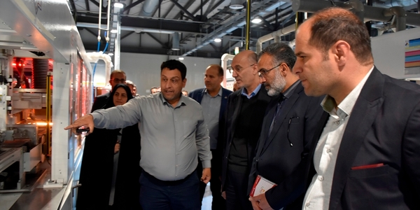 سرپرست معاونت هماهنگی امور اقتصادی استانداری از شرکت مانا انرژی خمین بازدید کرد