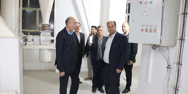 سرپرست معاونت هماهنگی امور اقتصادی استانداری از کارخانه آرد هفت سواران شهرستان خمین بازدید کرد