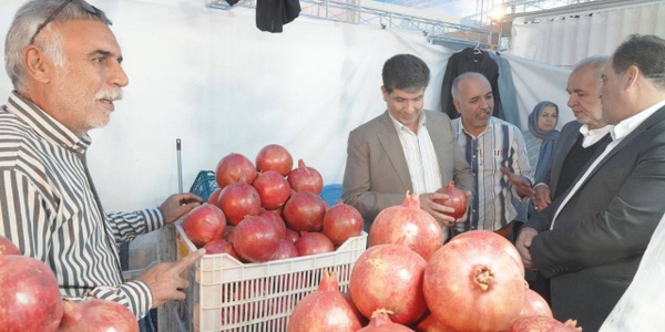 گزارش تصویری از چهارمین جشنواره انار ساوه