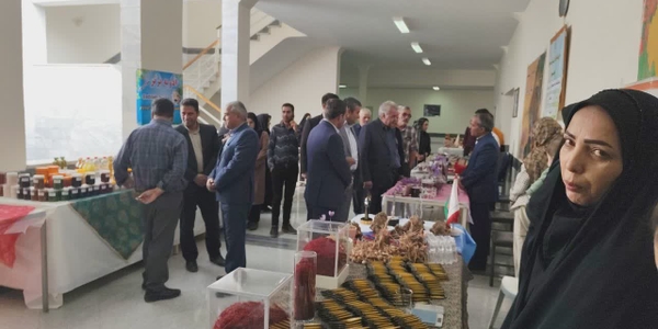 🔻 تصاویری دیگر از برگزاری سومین جشنواره زعفران کمیجان همزمان با هفته فرهنگی شهرستان