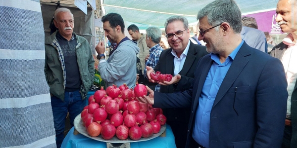 ششمین جشنواره شکرگزاری برداشت انار خورهه آغاز شد